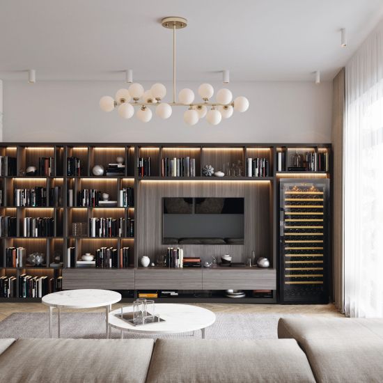 Large wine maturing cabinet, 1 temperature - Pure