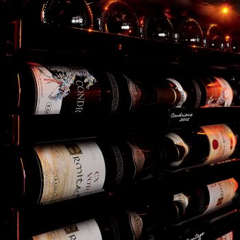 Large maturing cabinet, 1 temperature - Revelation