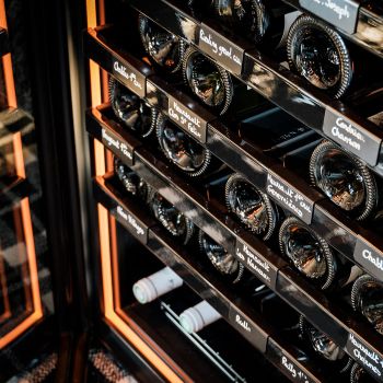 Large maturing cabinet, 1 temperature - Revelation