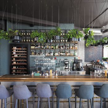 Large maturing cabinet, 1 temperature - La Première