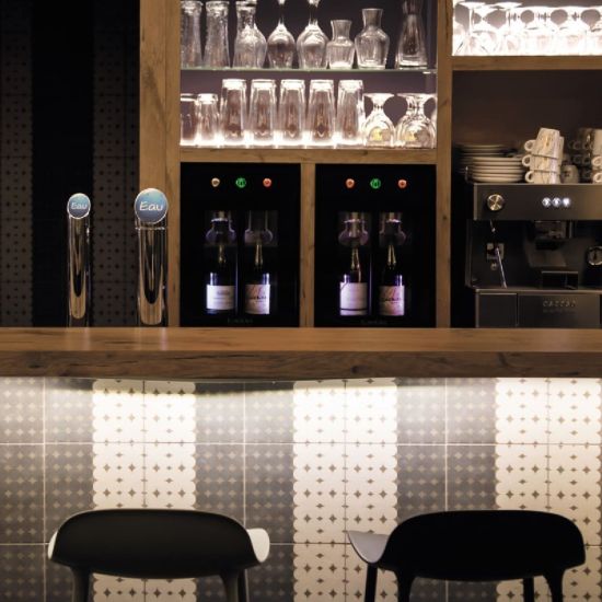 2-bottle wine bar - brings wine to the correct temperature and preserves open bottles