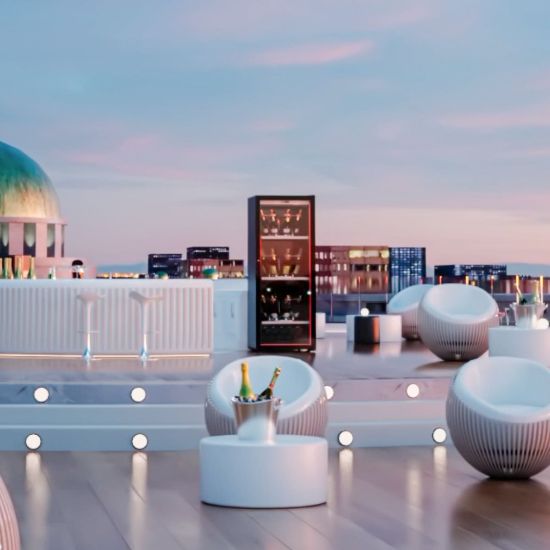 Large champagne cabinet, 1 temperature