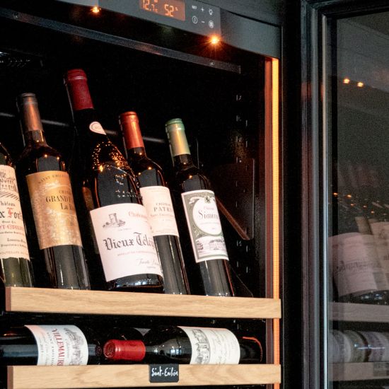 Large wine maturing fridge for long-term storage, 1 temperature - Revelation
