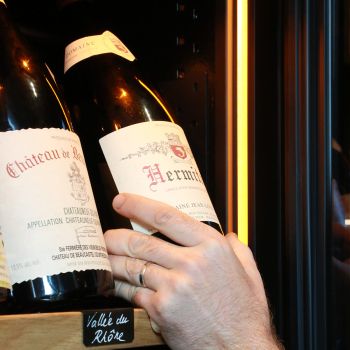 Large maturing cabinet, 1 temperature - Revelation