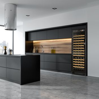 Large wine maturing cabinet, 1 temperature, which can be built-in - Compact