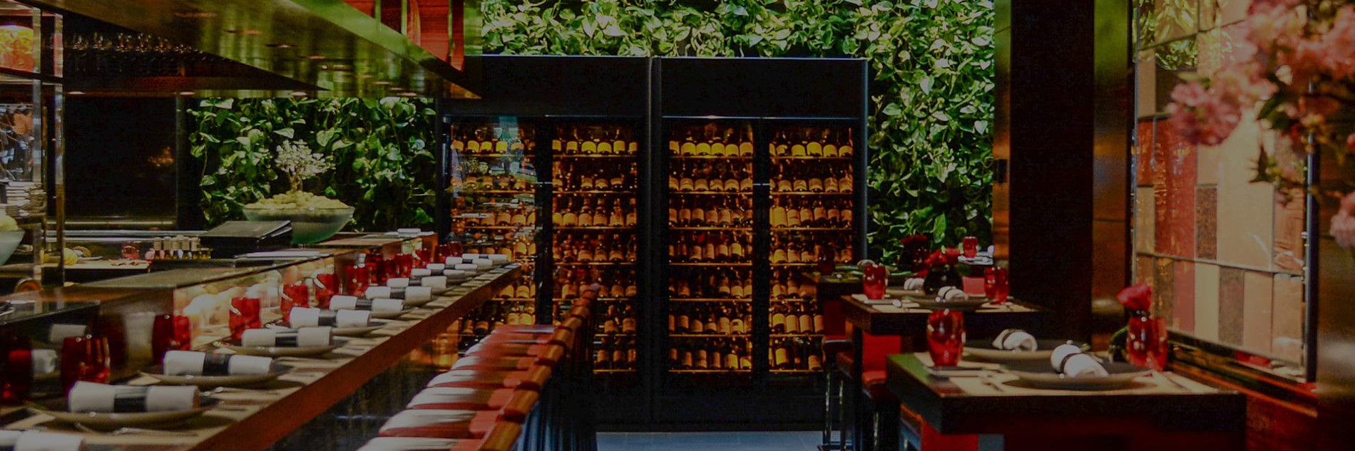 Purchase professional catering equipment and HORECA catering equipment: cooler, refrigerated wine showcase, positive cabinets, natural cellar layout for hotel, restaurant, wine merchant, wine bar, design, robust, practical and functional.