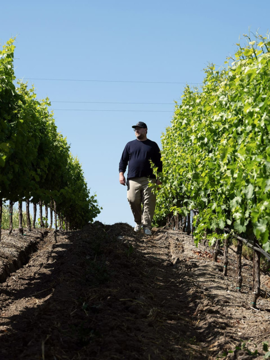 Talk with Dan Petroski - Winemaker - United States, Napa Valley