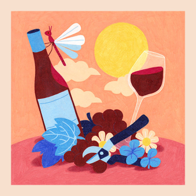 5 hopes for the wine of the future with Michelle Bouffard, Sommelier in Canada.